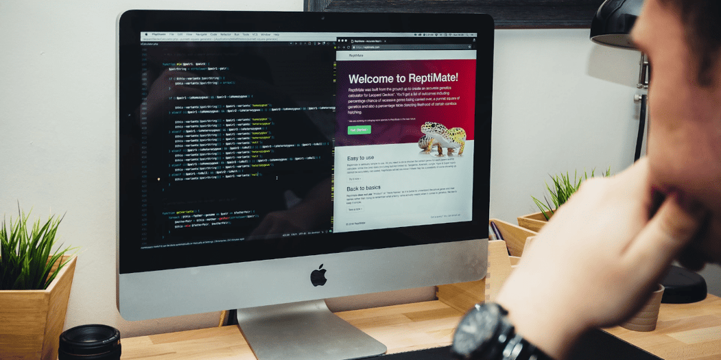 introduction to vue basics [video]